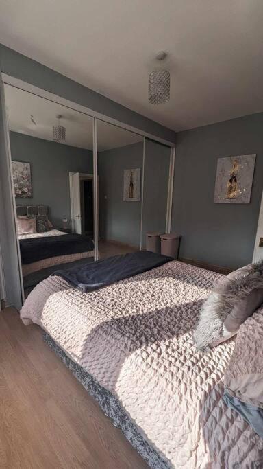 Lovely 2 Bedroom Apartment In Heart Of 邓迪 外观 照片