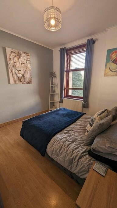Lovely 2 Bedroom Apartment In Heart Of 邓迪 外观 照片